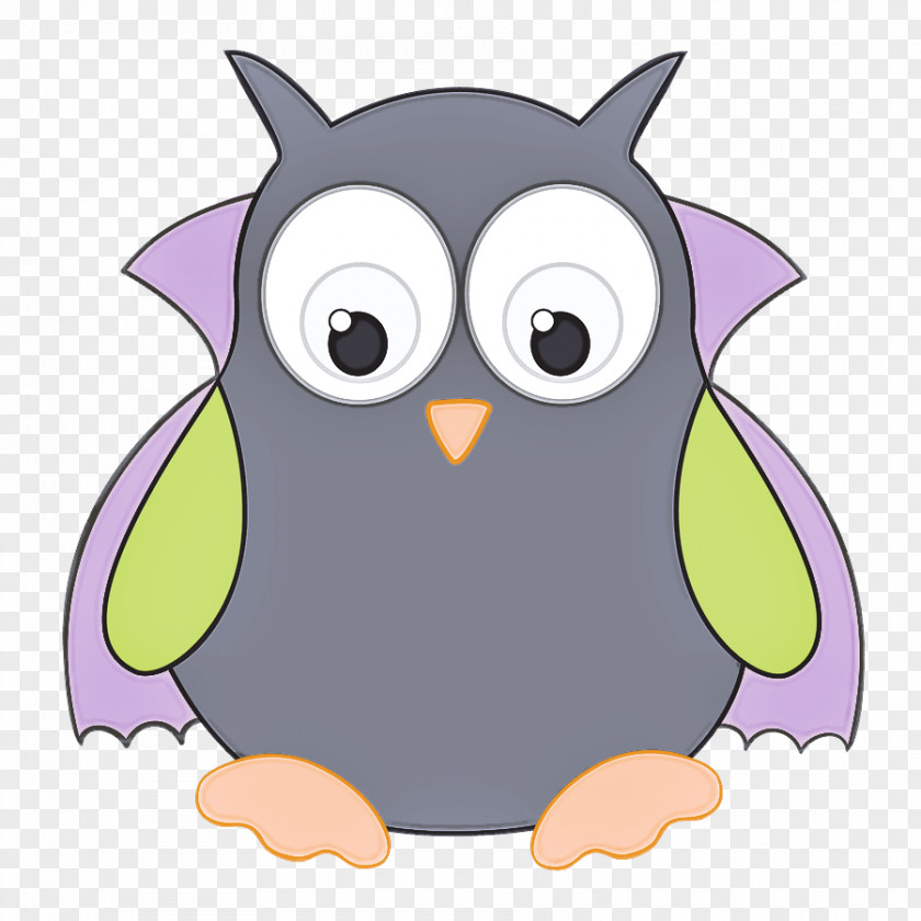 Owls Cartoon Snout Beak Birds PNG