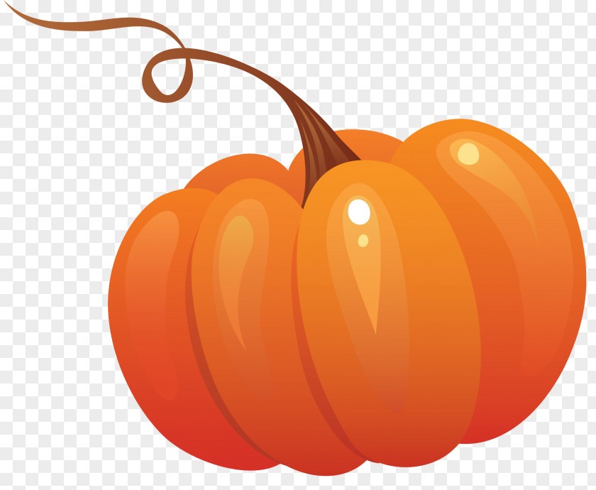 Pumpkin Cucurbita Pepo Clip Art PNG