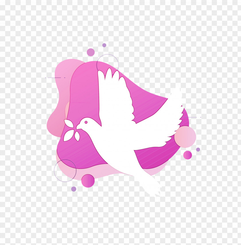 Birds Logo Cartoon Meter Shoe PNG