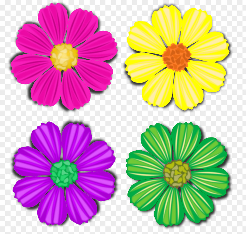 Blush Floral Cut Flowers SafeSearch Common Daisy Clip Art PNG