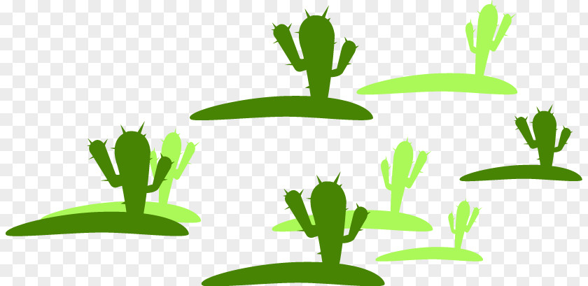 Cactus Cactaceae PNG