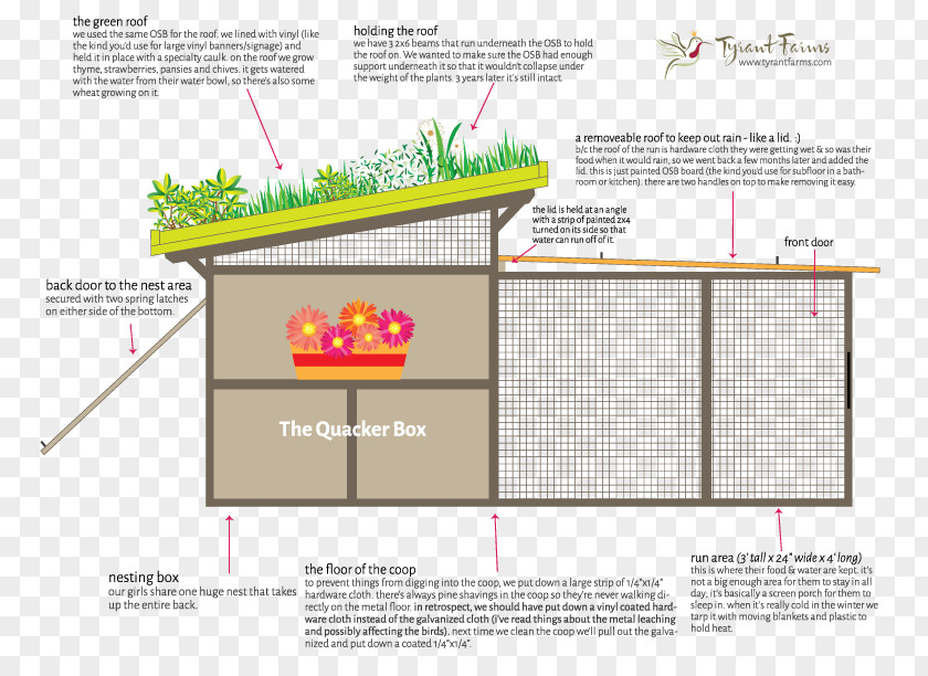 Duck Domestic House Building Chicken Coop PNG