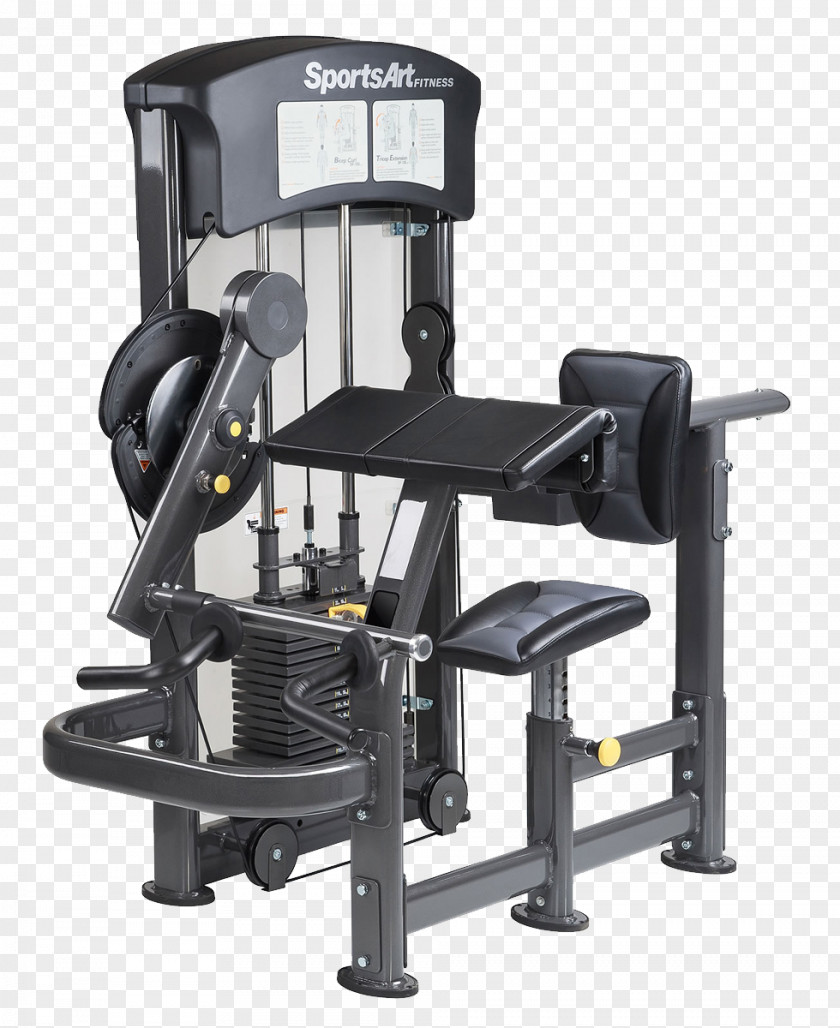 Dumbbell Fitness Centre Sport Physical Strength Training PNG