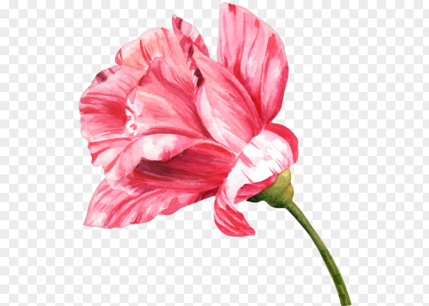 Flower Watercolor Painting Drawing Bud PNG