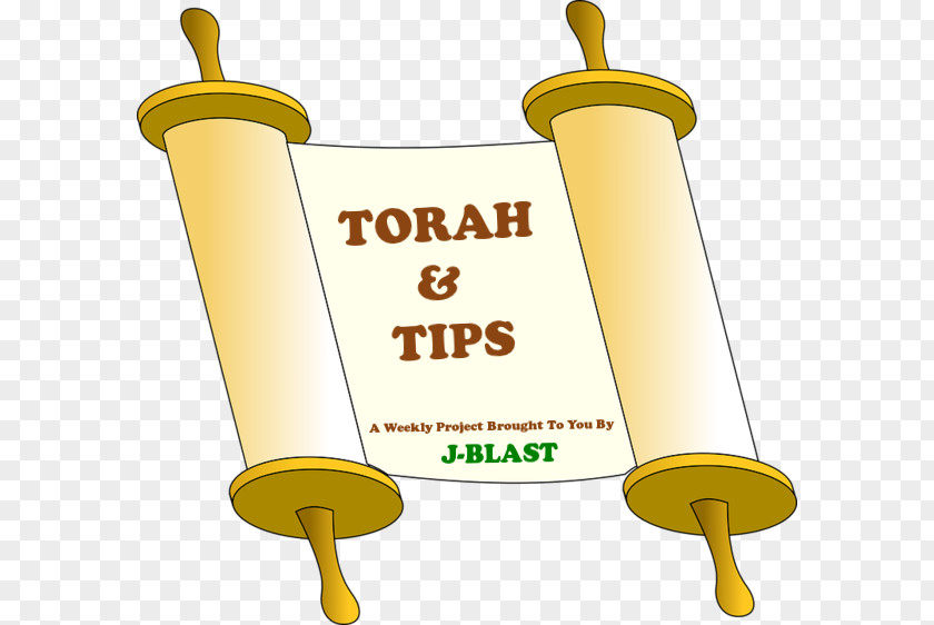 Judaism Torah Bible Clip Art PNG