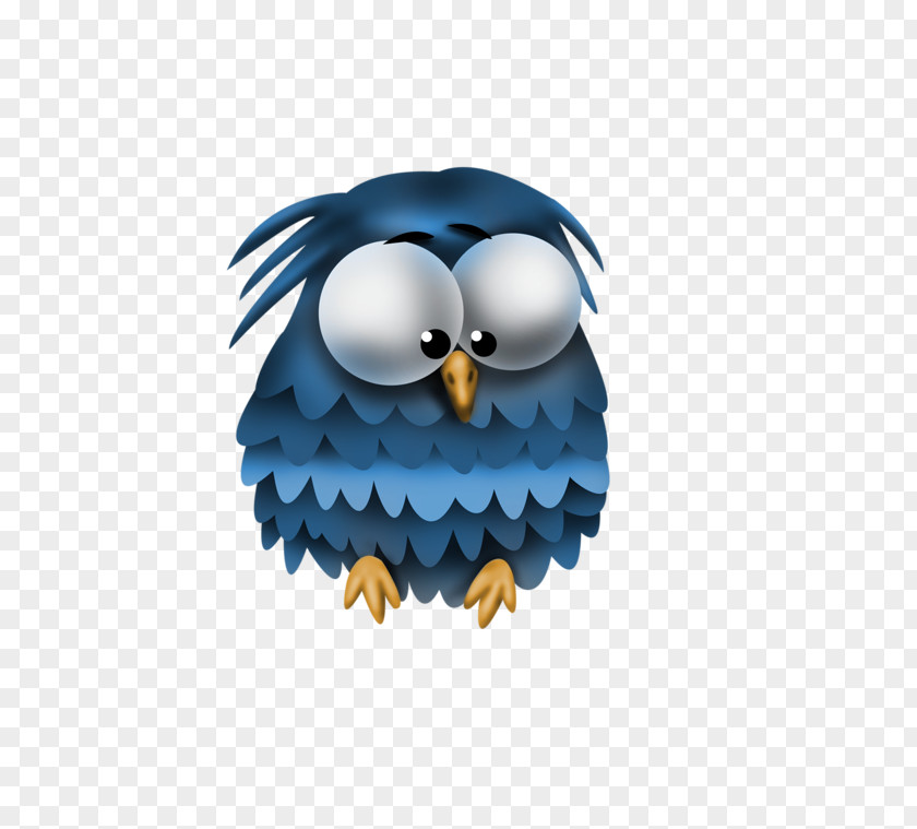 Owl Cartoon Drawing Violet PNG