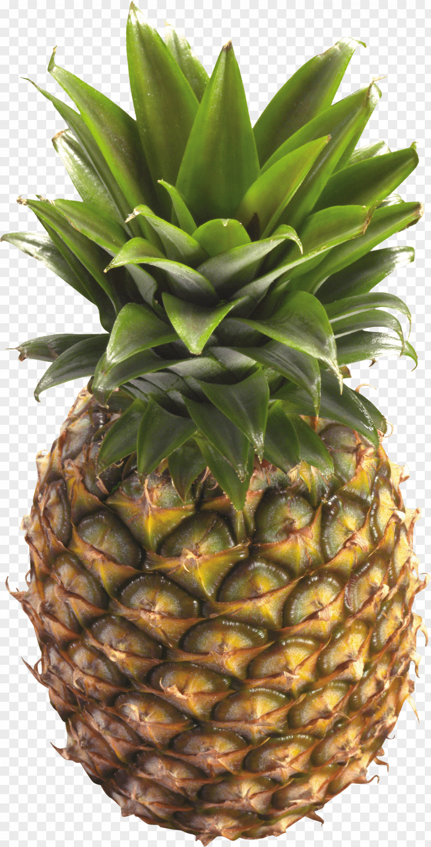 Pineapple Image Download Juice Clip Art PNG