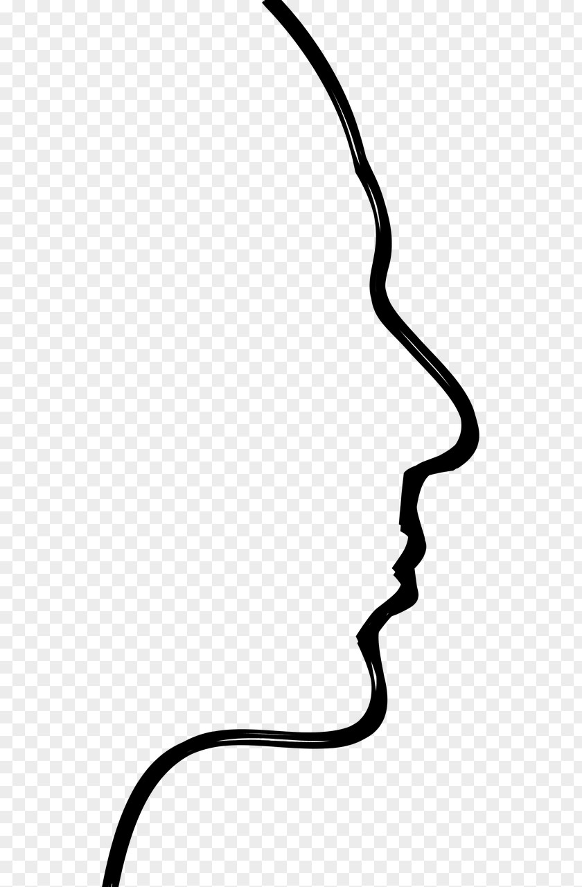 Brain Human Body Head Homo Sapiens Clip Art PNG