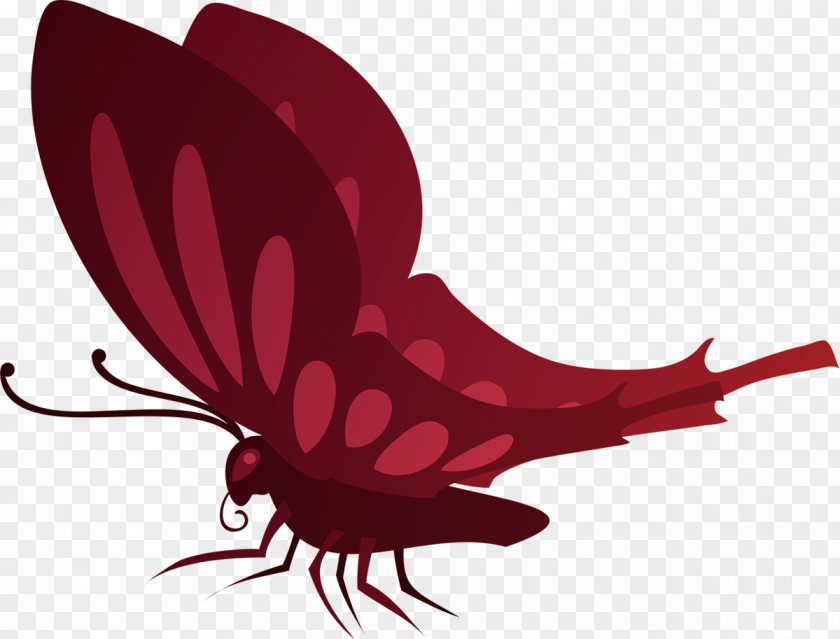 Butterfly Insect Clip Art PNG