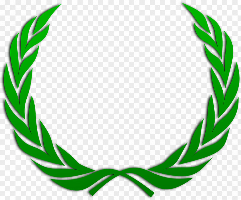 Crown Laurel Wreath Bay PNG