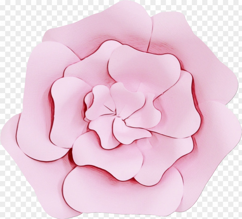 Garden Roses Cut Flowers Petal Product Design PNG