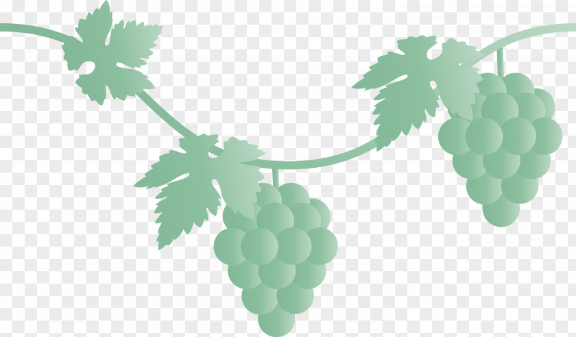 Grape Grapes Fruit PNG