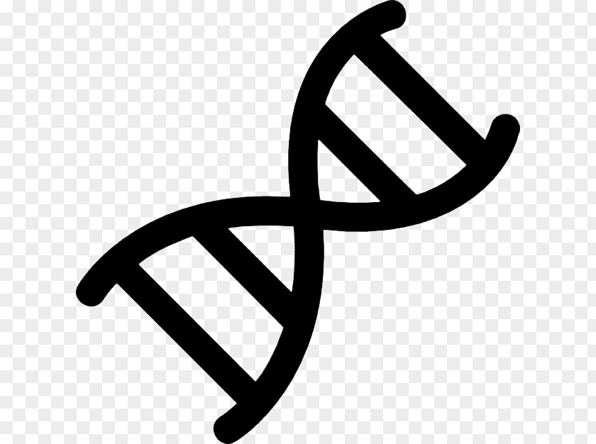 Symbol Nucleic Acid Double Helix DNA Genetics PNG