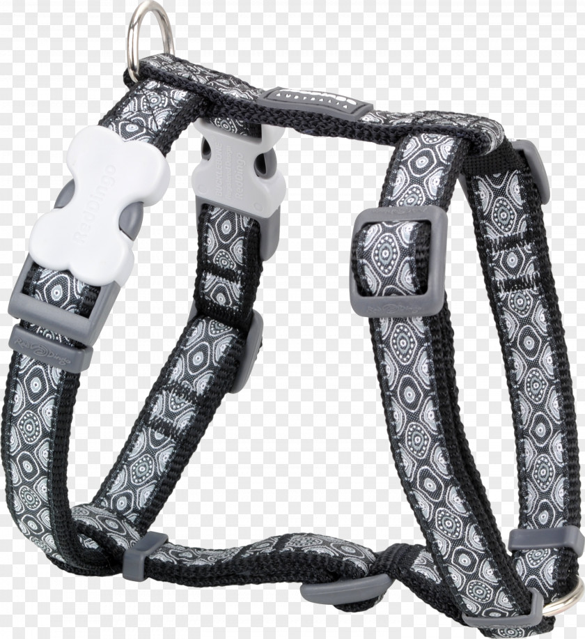 Dog Claw Free Buckle Chart Harness Dingo Puppy Collar PNG