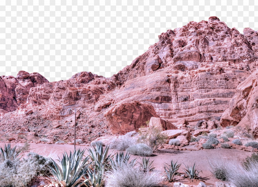 Outcrop Geology Shrubland Wadi Landscape PNG