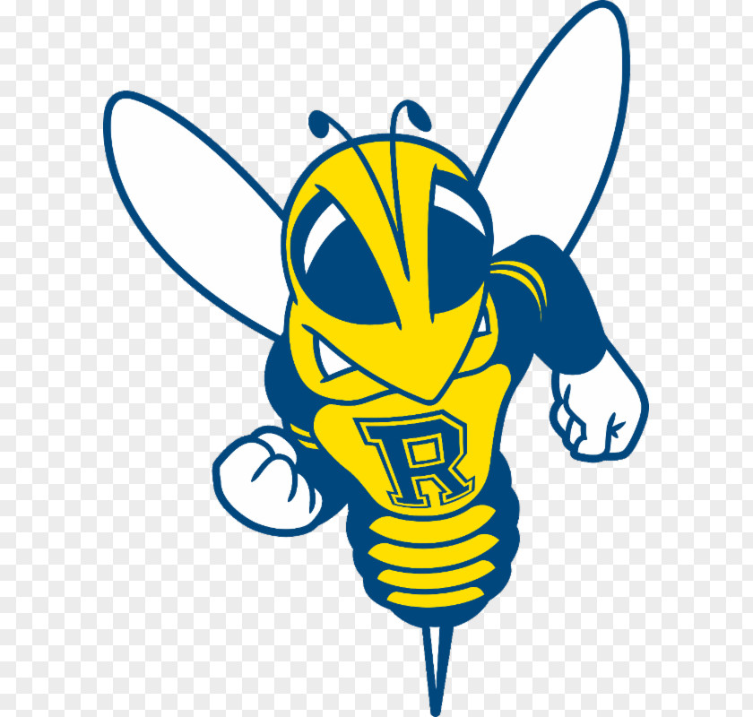 Roch Banner Rochester Yellowjackets Football Men's Basketball Women's University Of Office Admissions PNG