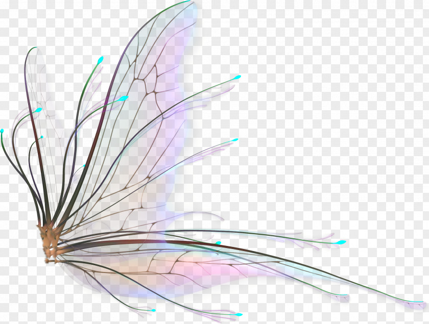 Butterfly Fairy Wings Drawing PNG