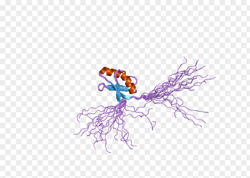 Copper Chaperone For Superoxide Dismutase Metalloprotein PNG