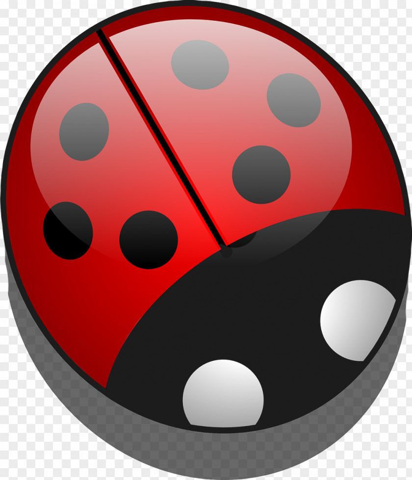 Cute Ladybug Ladybird Drawing Clip Art PNG