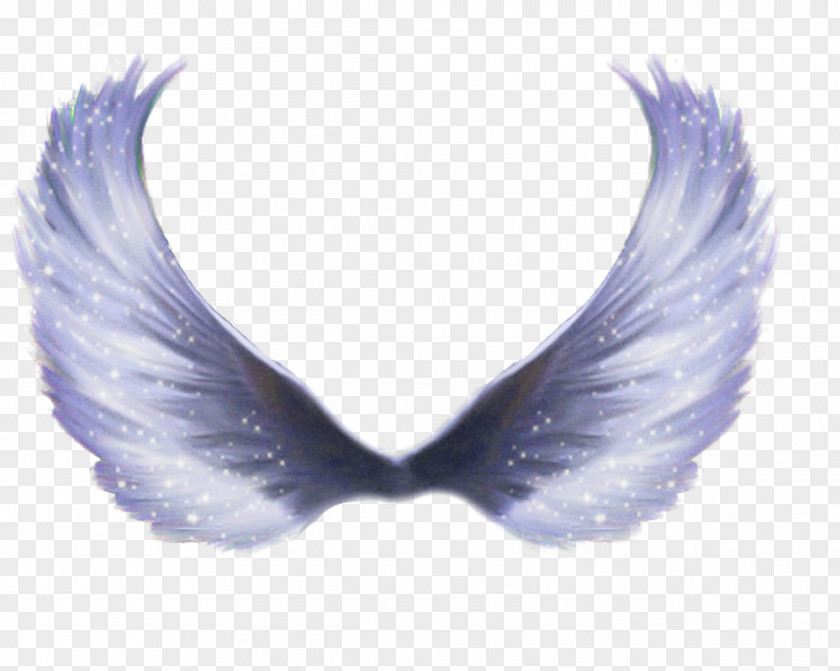 Feather PNG