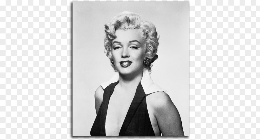 Marilyn Monroe Shot Marilyns Image Campbell's Soup Painting PNG