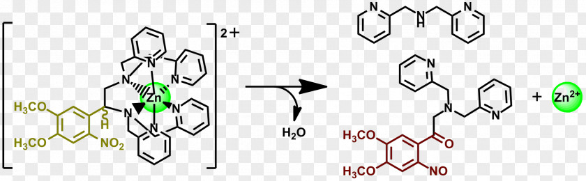 Organic Chemistry 고분자화합물 Molecule Chemical Compound PNG
