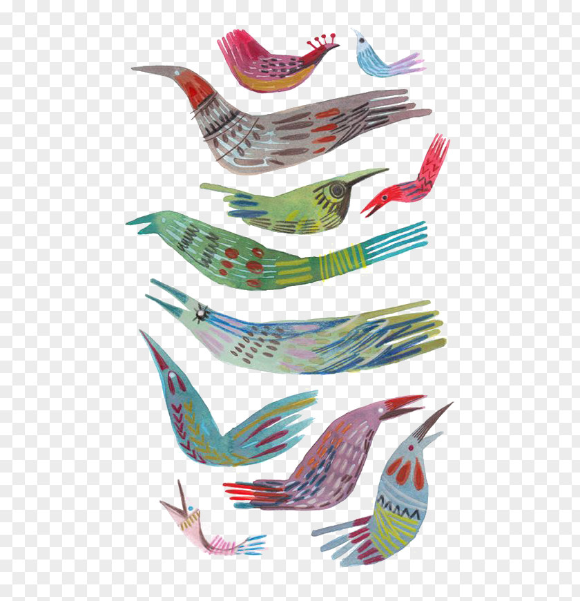 Cartoon Bird Drawing Illustrator Graphic Design Illustration PNG