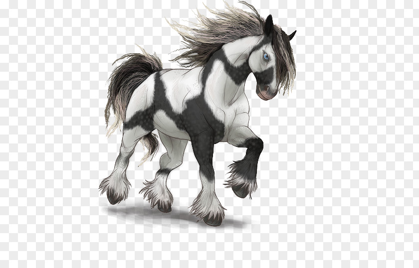 Gypsy Horse Mustang Stallion Mare Pony Pack Animal PNG