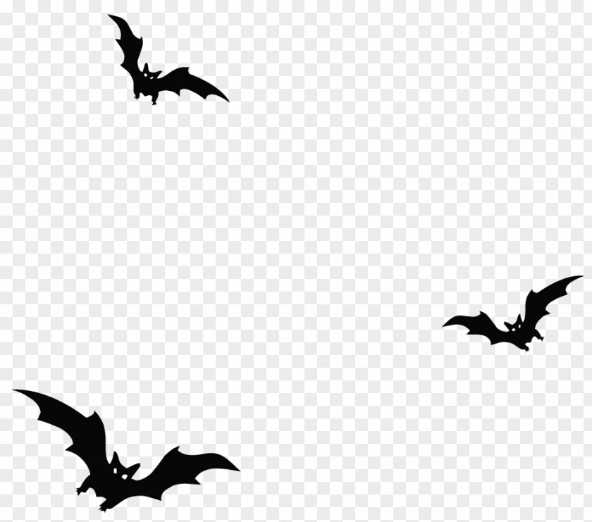 Haunted Bats Vector Clipart Clip Art PNG