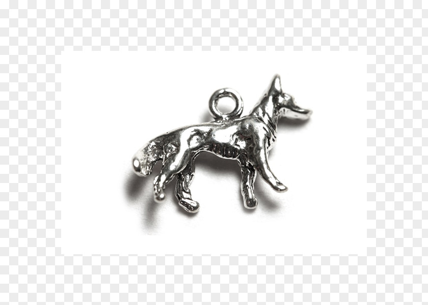 Horse Locket Body Jewellery Silver PNG