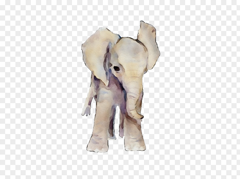 Indian Elephant PNG
