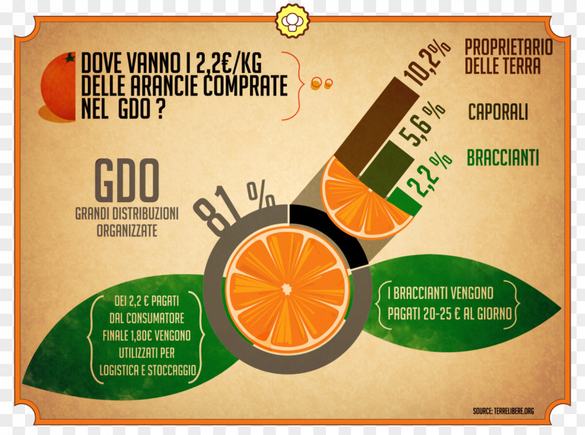Infographic Tag Citric Acid Brand Citrus PNG