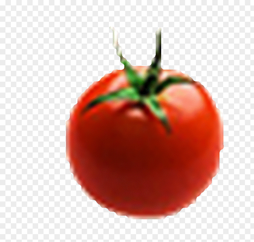 Pizza Plum Tomato Bush Fruit Beefsteak PNG