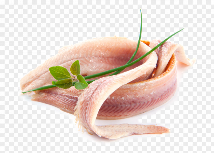 Seagull Smoked Salmon European Eel Fish Fillet Smoking PNG