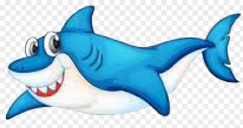 Shark Cartoon PNG