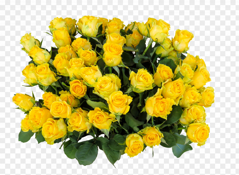 Yellow Rose Birthday Cake Wish Greeting & Note Cards Happy To You PNG