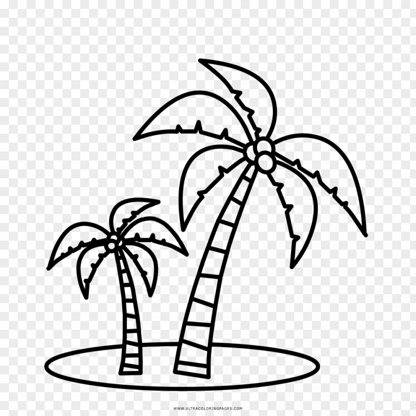Casa Vector Coloring Book Arecaceae Drawing Child Number PNG