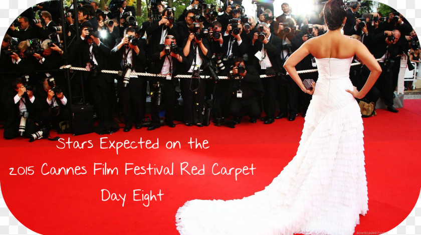 Red Carpet 2010 Cannes Film Festival Wedding Tradition Haute Couture PNG