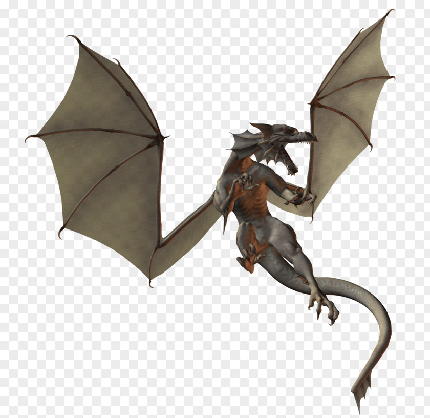 Dragon Skull Pterosaurs Jeholopterus Wing Pteranodon PNG