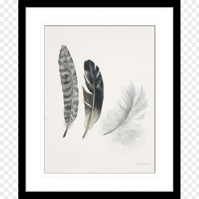 Feather Oil Painting Art PNG
