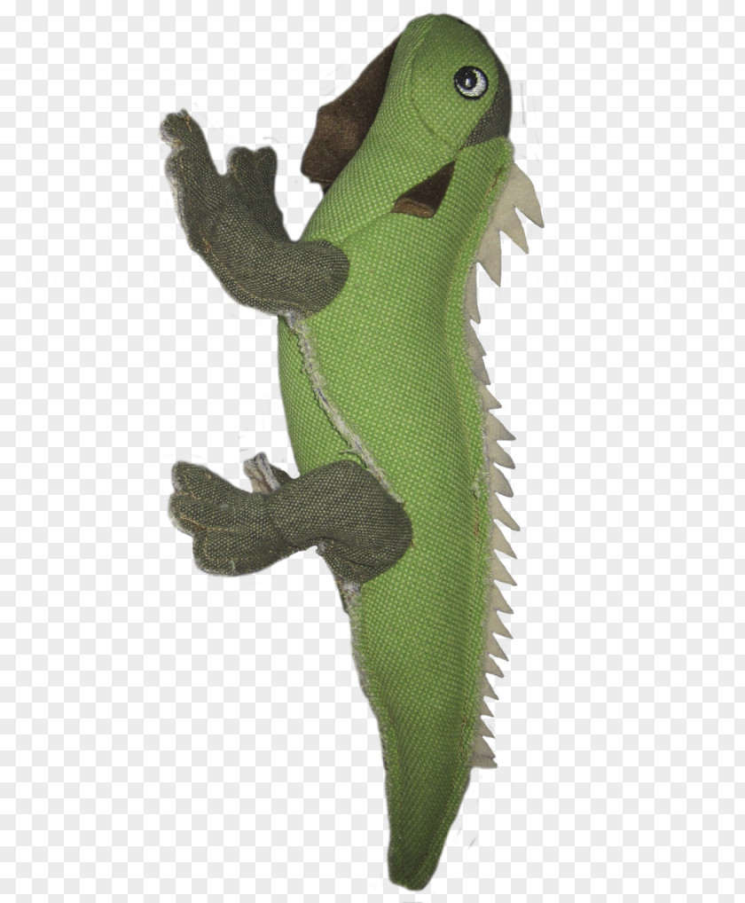 Frog Tree Reptile Animal PNG