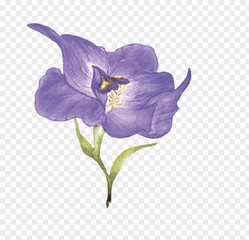 Purple Flowers Flower Download PNG