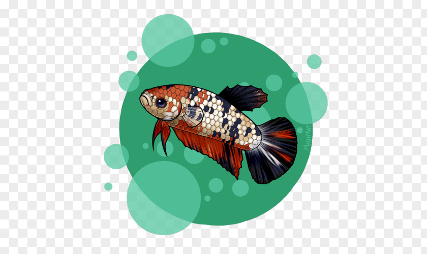 Koi Fish PNG