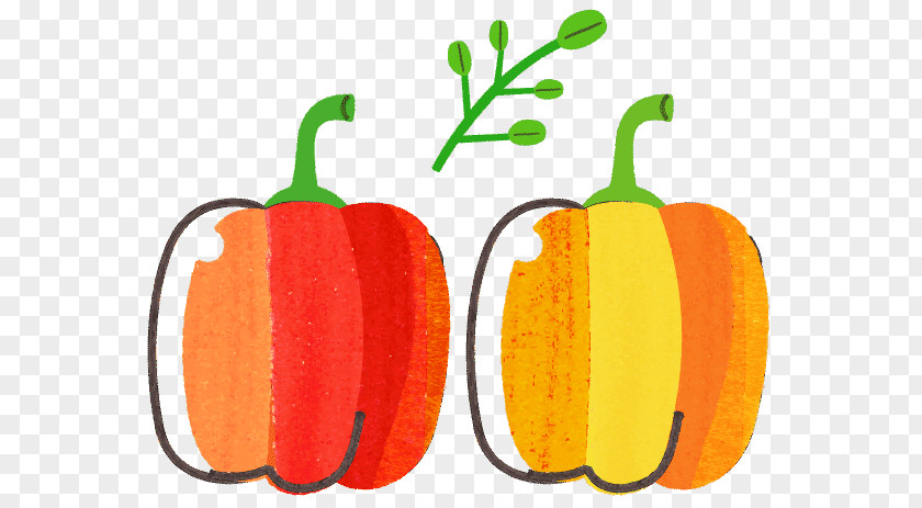 Melon Pumpkin LINE Cuisine Illustration PNG