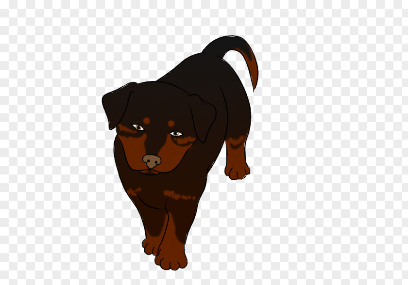 Puppy Rottweiler Dog Breed Snout PNG