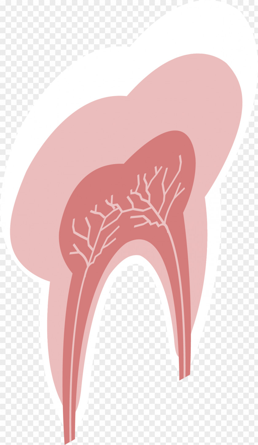 Red Teeth Shoulder Tooth Illustration PNG