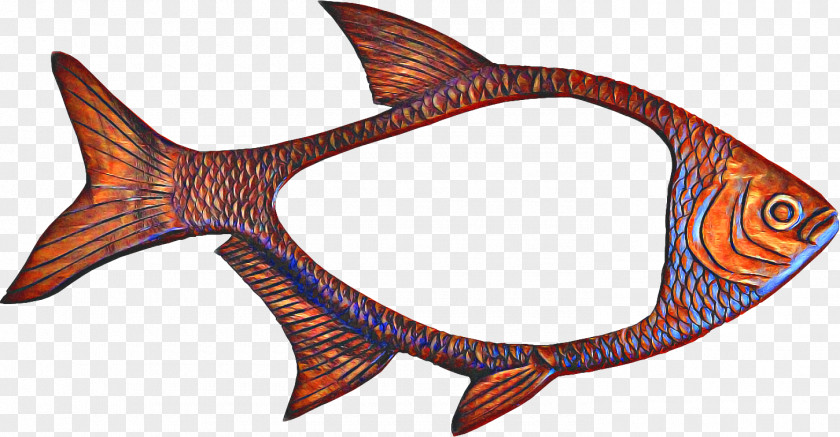 Tail Orange Fish Cartoon PNG