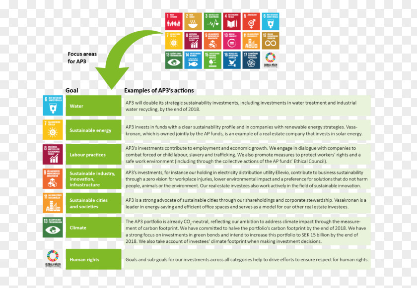 Business Sustainable Development Goals Sustainability United Nations PNG