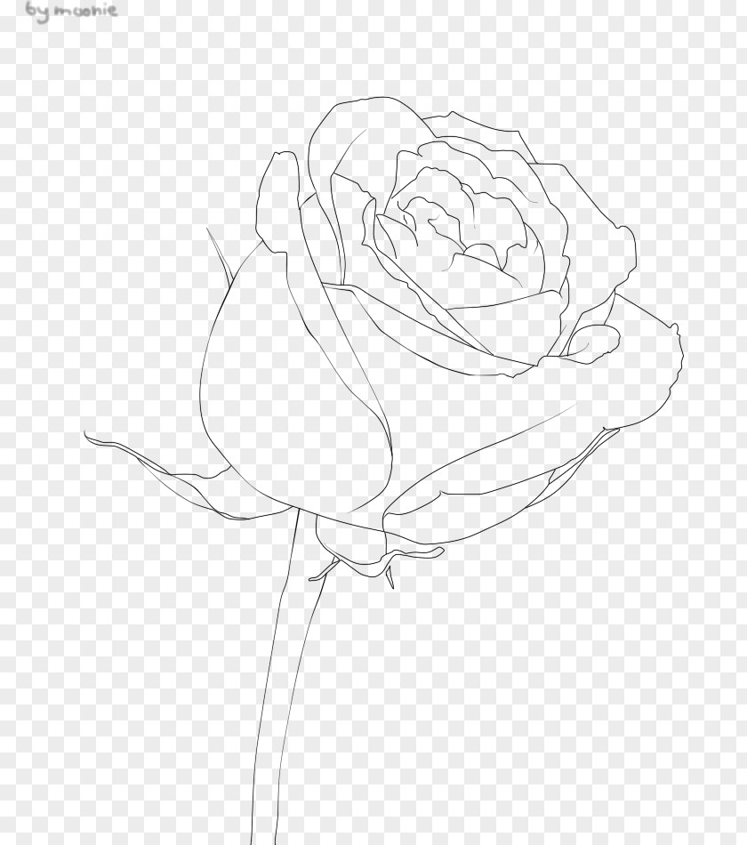 Design Garden Roses Floral Sketch PNG