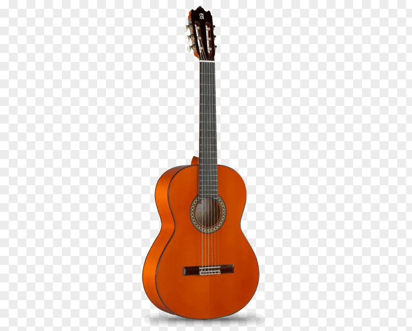 Guitar Maton Acoustic String Instruments Classical PNG